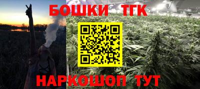 мет Кингисепп