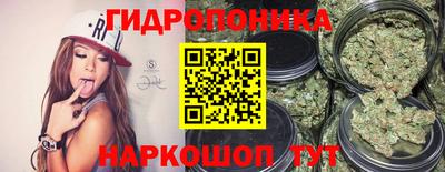 мет Кингисепп