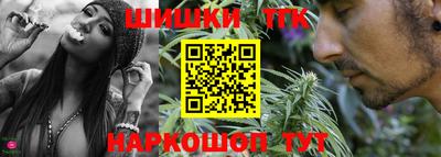 мет Кингисепп