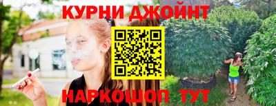 мет Кингисепп