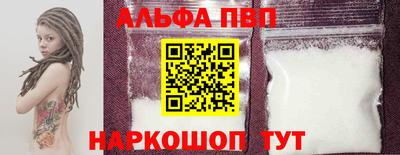 мет Кингисепп
