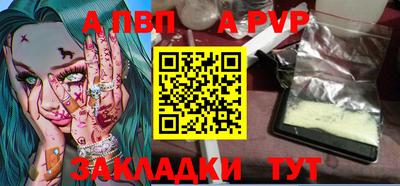 мет Кингисепп