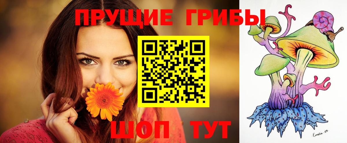 Псилоцибиновые грибы прущие грибы Ленинск-Кузнецкий