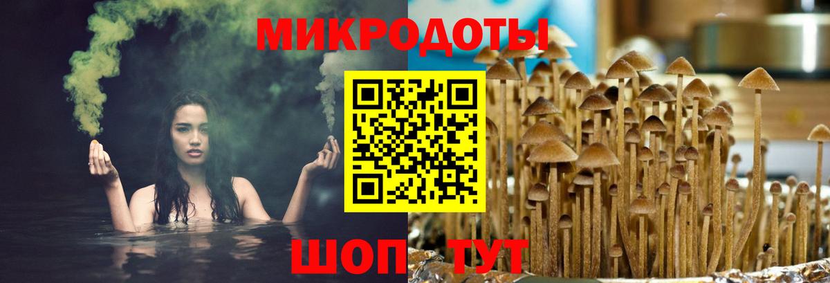 Псилоцибиновые грибы мухоморы  Вход с VPN  Ленинск-Кузнецкий  Псилоцибиновые грибы прущие грибы 